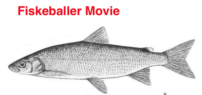 Fish video